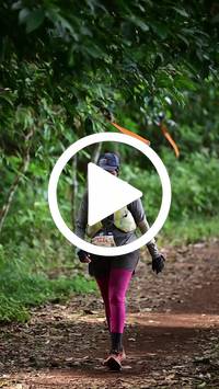 BIB:  <button type="button" onclick="openModal(27532128)" class="btn btn-primary btn-sm float-right" data-toggle="modal" data-target=".modal-high-quality">
                <i class="fa fa-download"></i> Download
                </button>